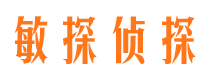 津南市调查公司